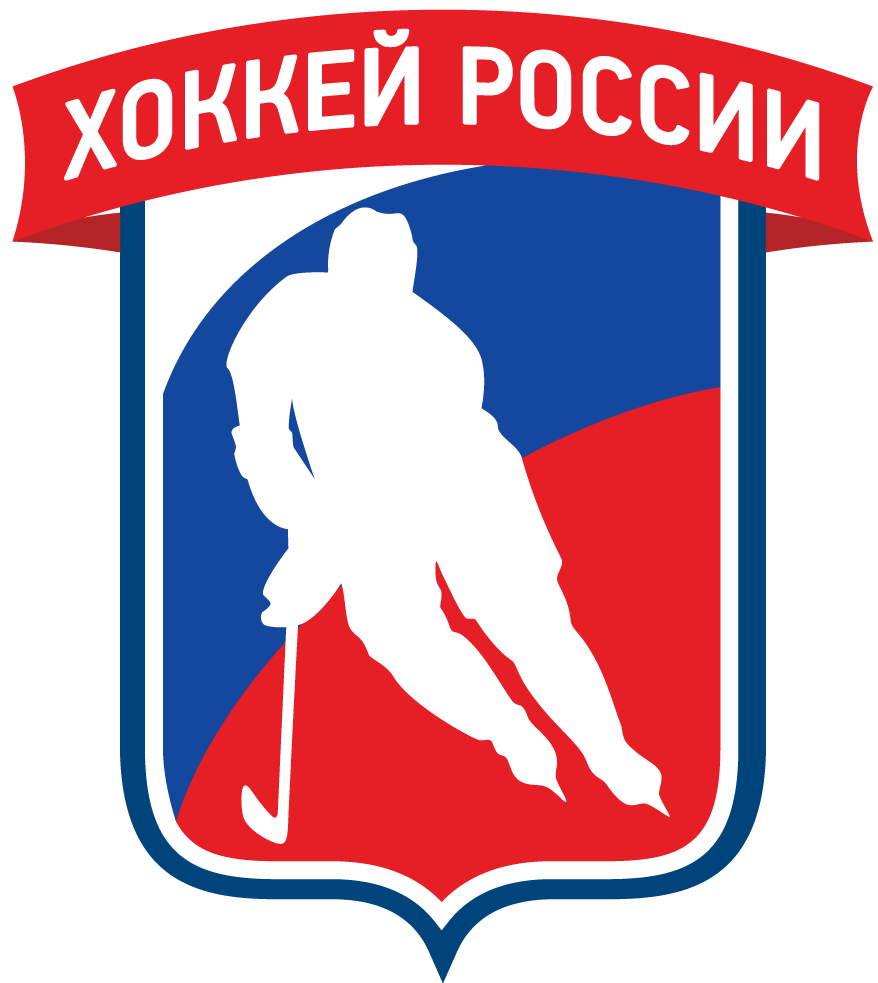 Russia 2016-Pres Partial Logo v4 iron on transfers for clothing
